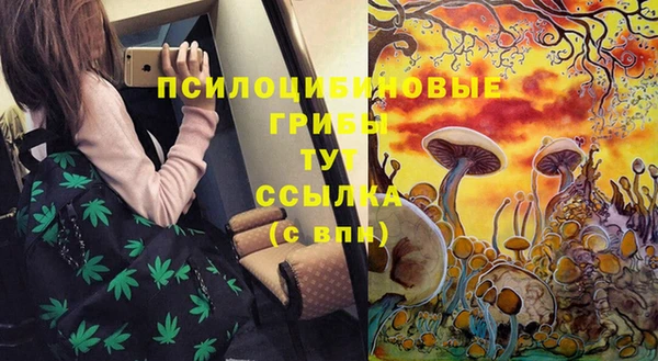 амф Нефтекумск