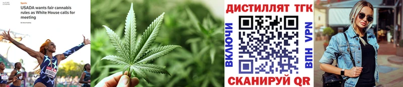 ТГК вейп  Купить закладки  Сурск 