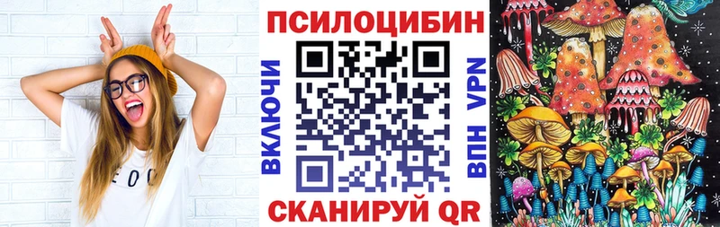 Галлюциногенные грибы Psilocybe  Купить где  Сурск 